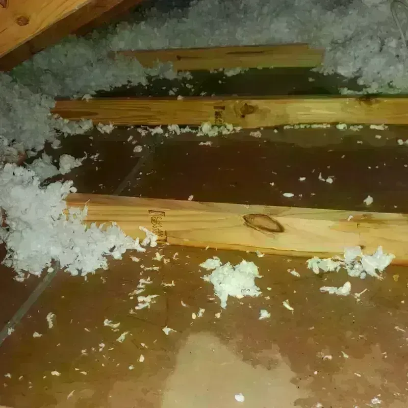 Attic Water Damage in Philomath, OR