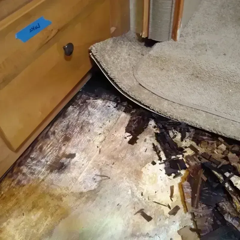 Best Wood Floor Water Damage Service in Philomath, OR